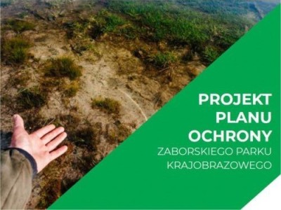 Opracowanie projektu planu ochrony Zaborskiego